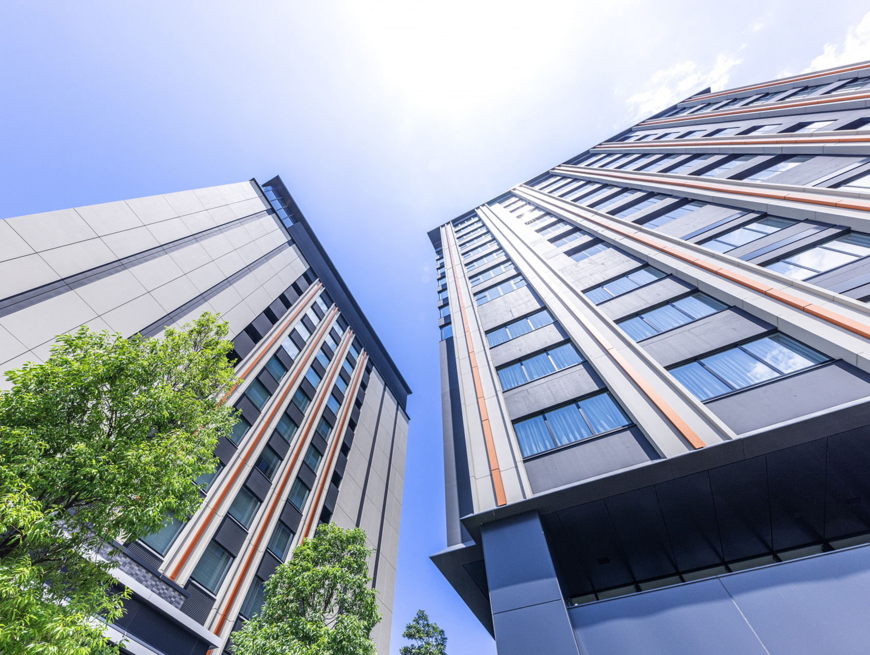 法人プラン導入の背景と目的